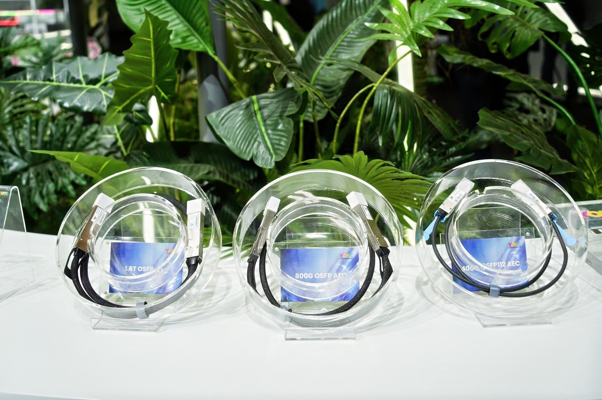 DSC02670-opq3506461703-cc1aa529-a589-41ed-b8d5-460b23621366